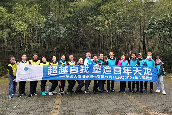 宁波天龙电子股份有限公司